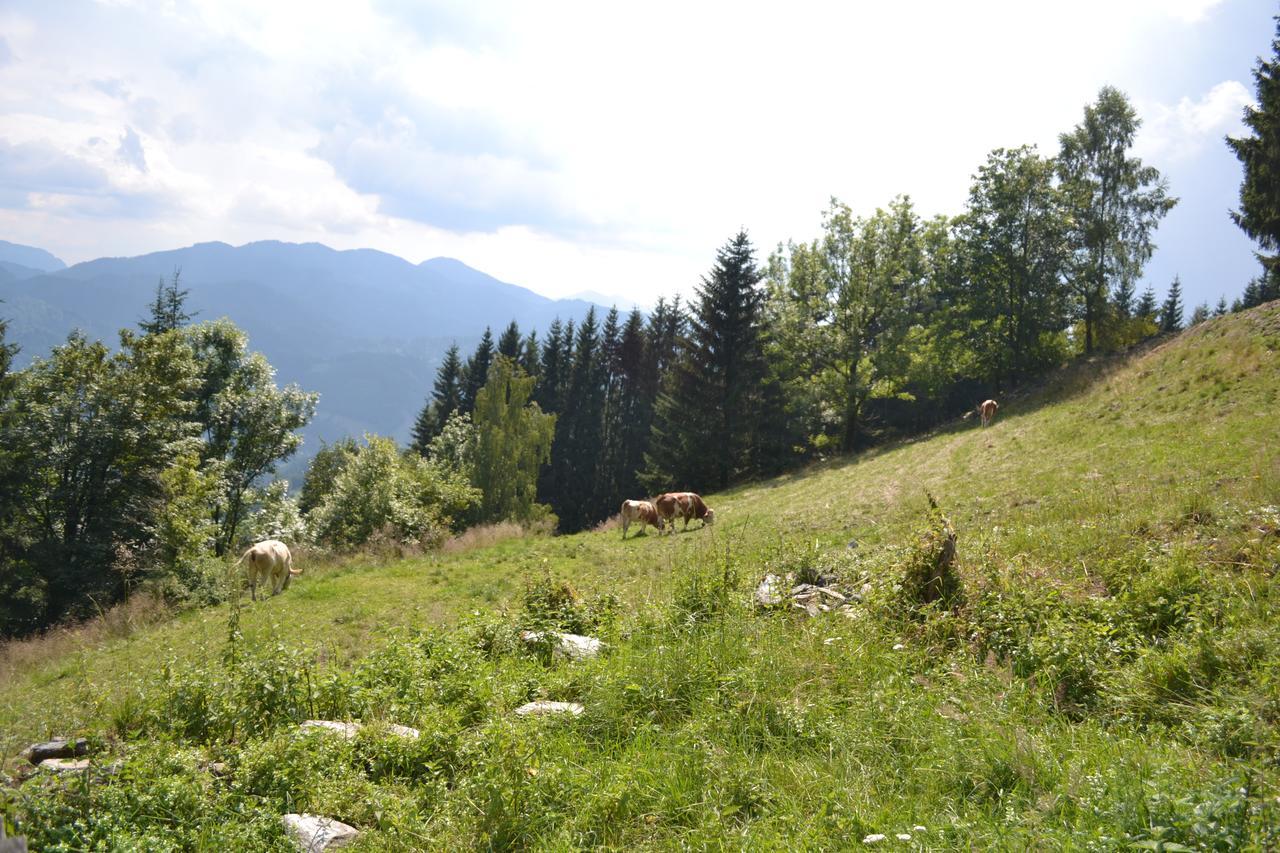 Gasthof Oberer Gesslbauer Stanz Im Murztal 外观 照片