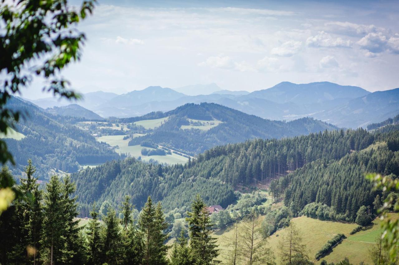 Gasthof Oberer Gesslbauer Stanz Im Murztal 外观 照片