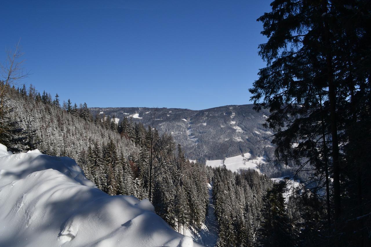 Gasthof Oberer Gesslbauer Stanz Im Murztal 外观 照片